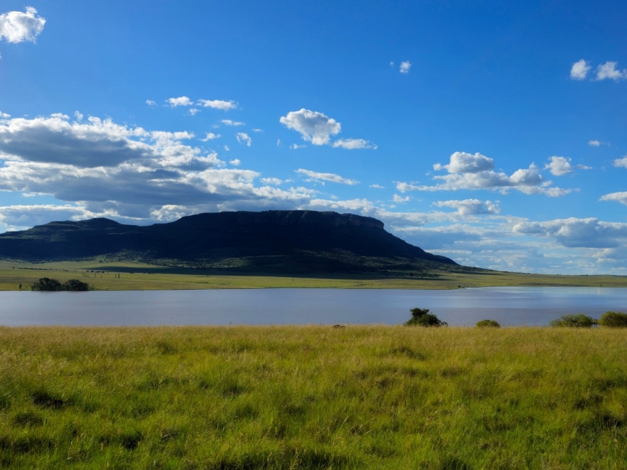 Commercial Property for Sale in Ladybrand Free State